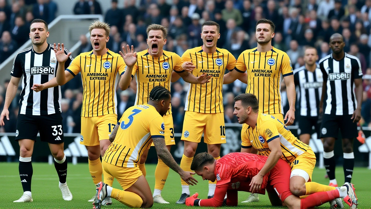 What’s Next for Brighton?